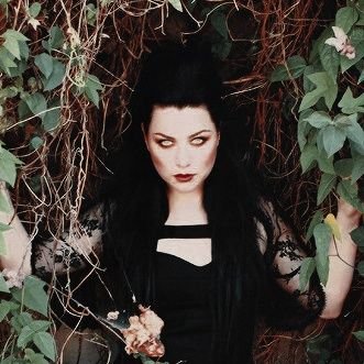 evanescence fan page • she/her • i don't belong here