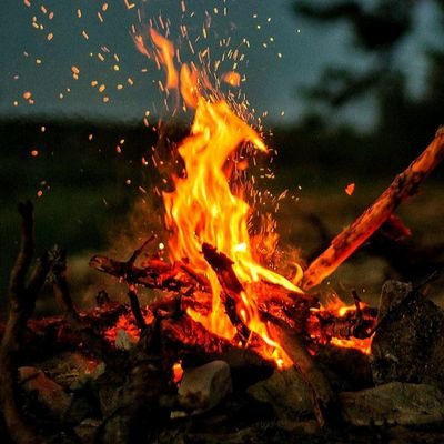 ledjck's profile picture. 