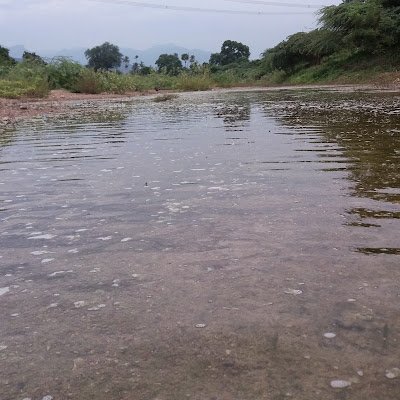 kadhalkirukan7's profile picture. 