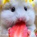 ãŽã®ãŽð@ãã€æŽ»ïœ¥æžè³ (@pinoo2525) Twitter profile photo ãŽã®ãŽð@ãã€æŽ»ïœ¥æžè³ (@pinoo2525) Twitter profile photo