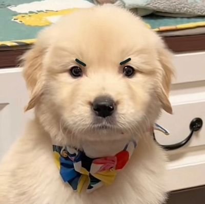 jintony30's profile picture. 