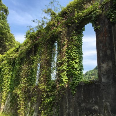 BanjoBiologics's profile picture. 