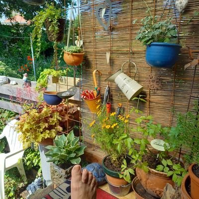 Elischmitz1's profile picture. Kopf hoch, sonst wirst du nicht sehen können wer dir zulächelt!