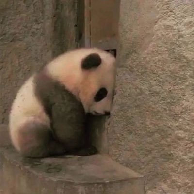 sira_green's profile picture. 🌱🥦