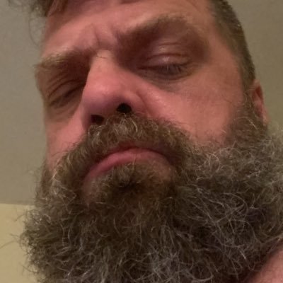 KingDadBear Profile Picture