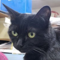 なおち (@bxv03051docomo1) Twitter profile photo