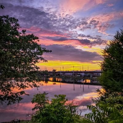 yashuchoudhar's profile picture. jaat💪💪
GOVT. TEACHER
At ALWAR