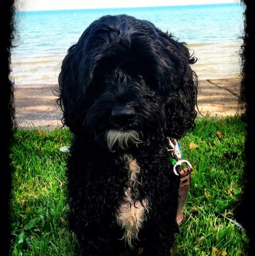 Kstatires's profile picture. 