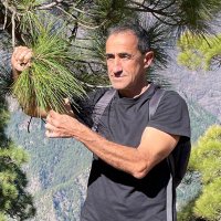 Pablo Vargas (@PabloVargas1111 en otras redes) (@pablovargas1111) 's Twitter Profile Photo Pablo Vargas (@PabloVargas1111 en otras redes) (@pablovargas1111) 's Twitter Profile Photo