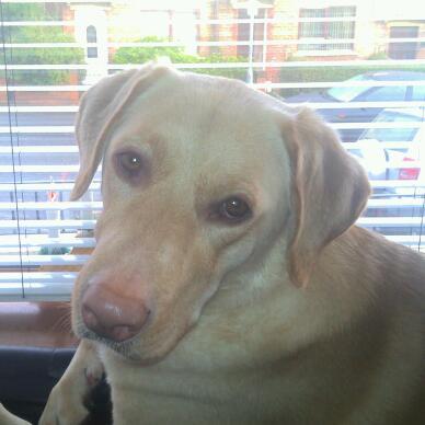 KennyMcC77's profile picture. Just someone seeking inspiration