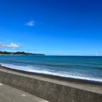 milktea (@petitpapi) 's Twitter Profile
