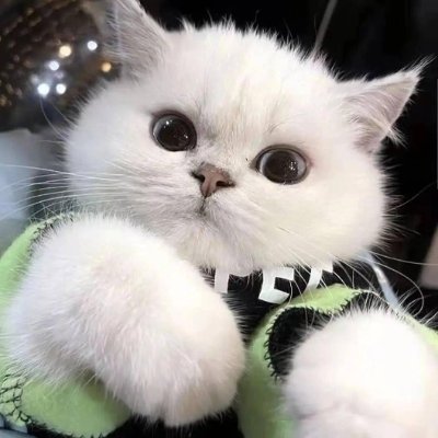 sbaro2013's profile picture. I love life, I enjoy making friends, and I know friends who share the same interests as me 💕
I enjoy traveling 🧳
I like food 🍱
I enjoy shopping 🛍
I like yog