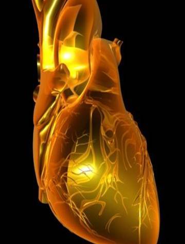 FMPREvent's profile picture. The first and only multiple biomarker blood test that predicts risk of near term heart attack (within 2-3 years) for coronary artery disease patients.