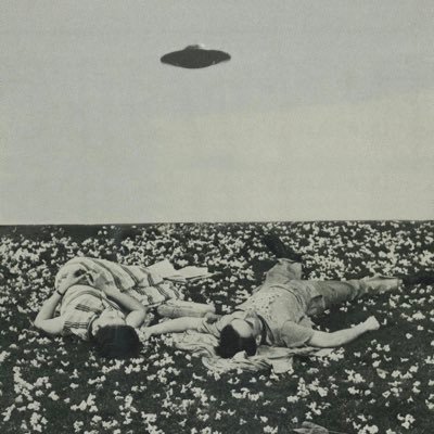 colostial's profile picture. Big fan of Slim Jims and Shark Week. “Dress every day like you gonna get murdered in those clothes.”