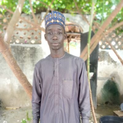 electrical engineer, librarian,footbàller