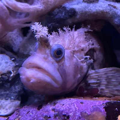 _ThreefourteeN_'s profile picture. so true!