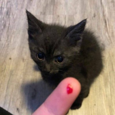 MiUo808's profile picture. 更新生活”这里是我的床！本人女s 属性。