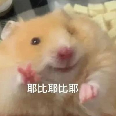 only for 成韩彬🐹🐱