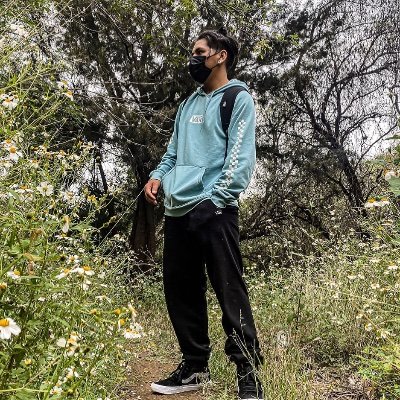 pipe358LX's profile picture. 