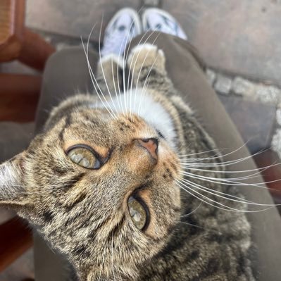 juls_bln's profile picture. 