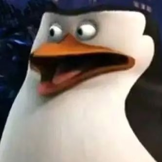 HP1231368603's profile picture. 。。。。。