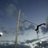 PoleVaultProbs's profile image