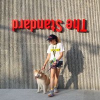 นศธ•แม่แมว•หมาอะวู้ววว (@alotofpomme) 's Twitter Profile Photo