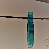 Remco Boom (@remcoboom) 's Twitter Profile