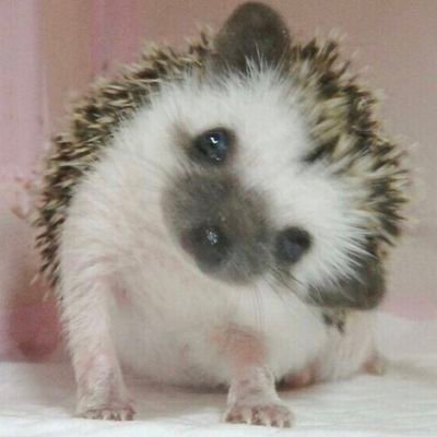 13yo_man's profile picture. 