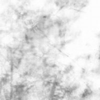 irdia_ncstrs (@irdia_ncstrs) 's Twitter Profile Photo