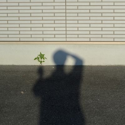 写真であそぼ( ´∀｀)

たまに書いてるスナップ記録的なの
https://t.co/FKobfVpAd0