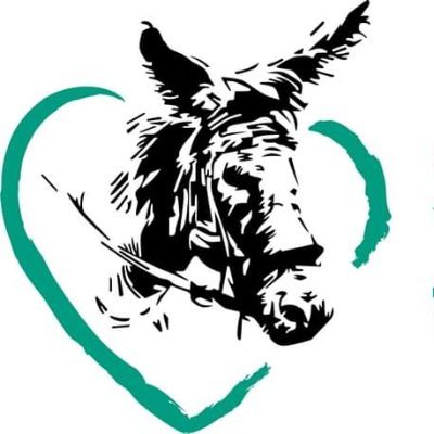 UK-registered charity - donkey sanctuary in Israel and free veterinary care for working donkeys, mules and horses in Egypt, Israel and the West Bank.