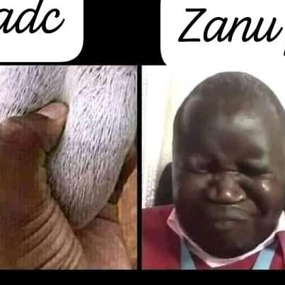 JohnMusinga1's profile picture. Chelsea till I die!