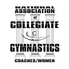 Supporting ALL college gymnasts!!