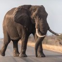 Stacy Robles ❤️ Memecoin - @tnbke77749675 - Twitter