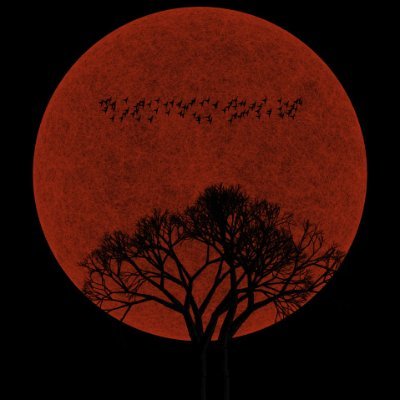 App dev||Experimental Generative Artist||Technophile||26||
https://t.co/HTyB5UqqP8