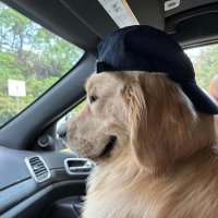 ning (@ningntk_th) 's Twitter Profile