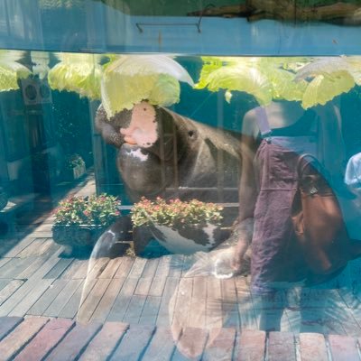 ranmenmancha's profile picture. 