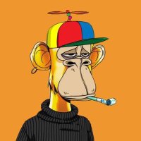 0xGozilla🦍 (@iam_scanty) 's Twitter Profile
