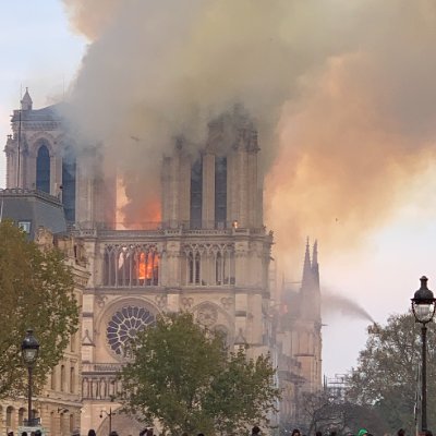 EDecivilization's profile picture. 