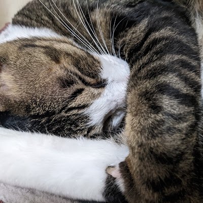 KN2161828114111's profile picture. 