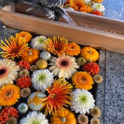 Reis0150Rei's profile picture. テレビの洗脳から目覚めると見えて来た現状。これを変えて行くには参政党での国民運動しか無い🧡