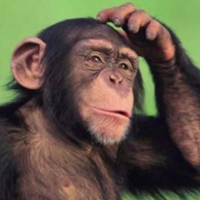Ultra MAGA Ape, Fair elections ,low energy cost is prosperity . Global equalization & aggressive climate control is regressive.