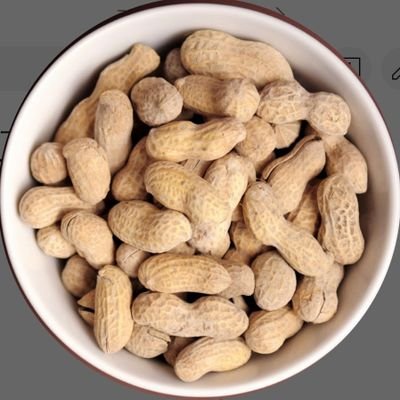 Ir36sIdA24yh16t's profile picture. 