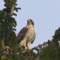 Mira CB (@miracb007) 's Twitter Profile Photo