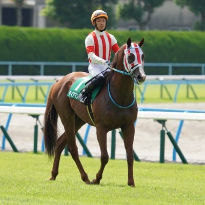 ️競馬場で写真を撮ったり、馬券を予想したり