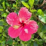 VERLIuyNE's profile picture. 