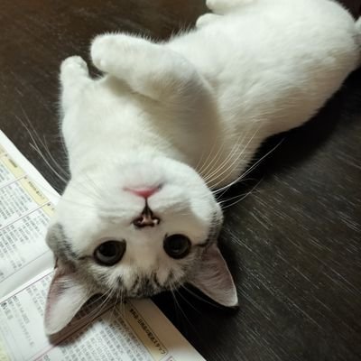 3xTYMJfXyKZUuHu's profile picture. 北海道在住。好きな言葉‥新発売・限定・新商品・懸賞🙆好き❣　スイーツ🧁好きな主婦　旅行も好きだけどコロナ落ち着いたら行きたい❤️　

無言フォロー失礼します&無言フォロー大歓迎💐

#懸賞仲間大募集

RT多めごめんなさい。 

#あかっちち当選報告

#あかっちち当選品