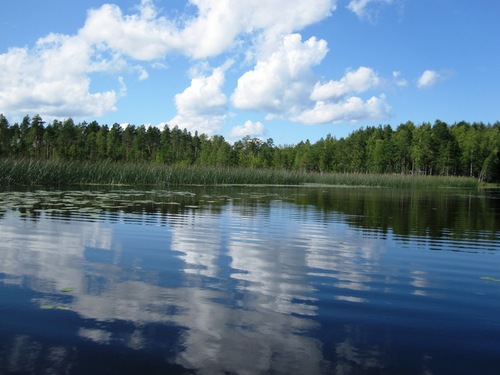 Милая и веселая. Love swimming, cleaning house, travelling and shopping! #Взаимный #фолловинг #followback #sledui #TFB  #sledui  #ff_ru #ru_ff #FF #follow