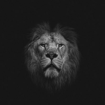 AhmedMo60485530's profile picture. 